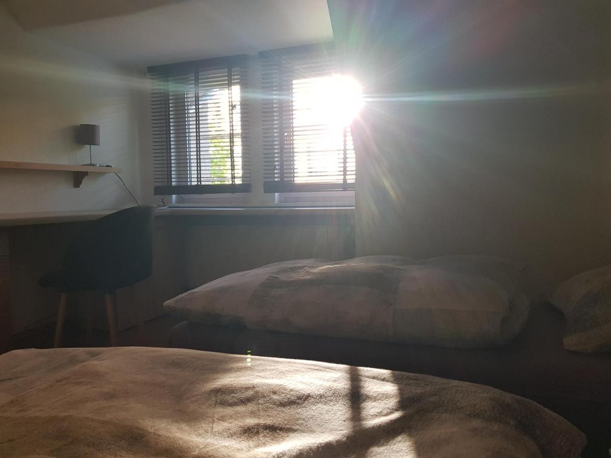 Apartment Am Suedpark Erfurt - Inkl Garten Mit Sitzlounge - Zentrumsnah Exteriör bild