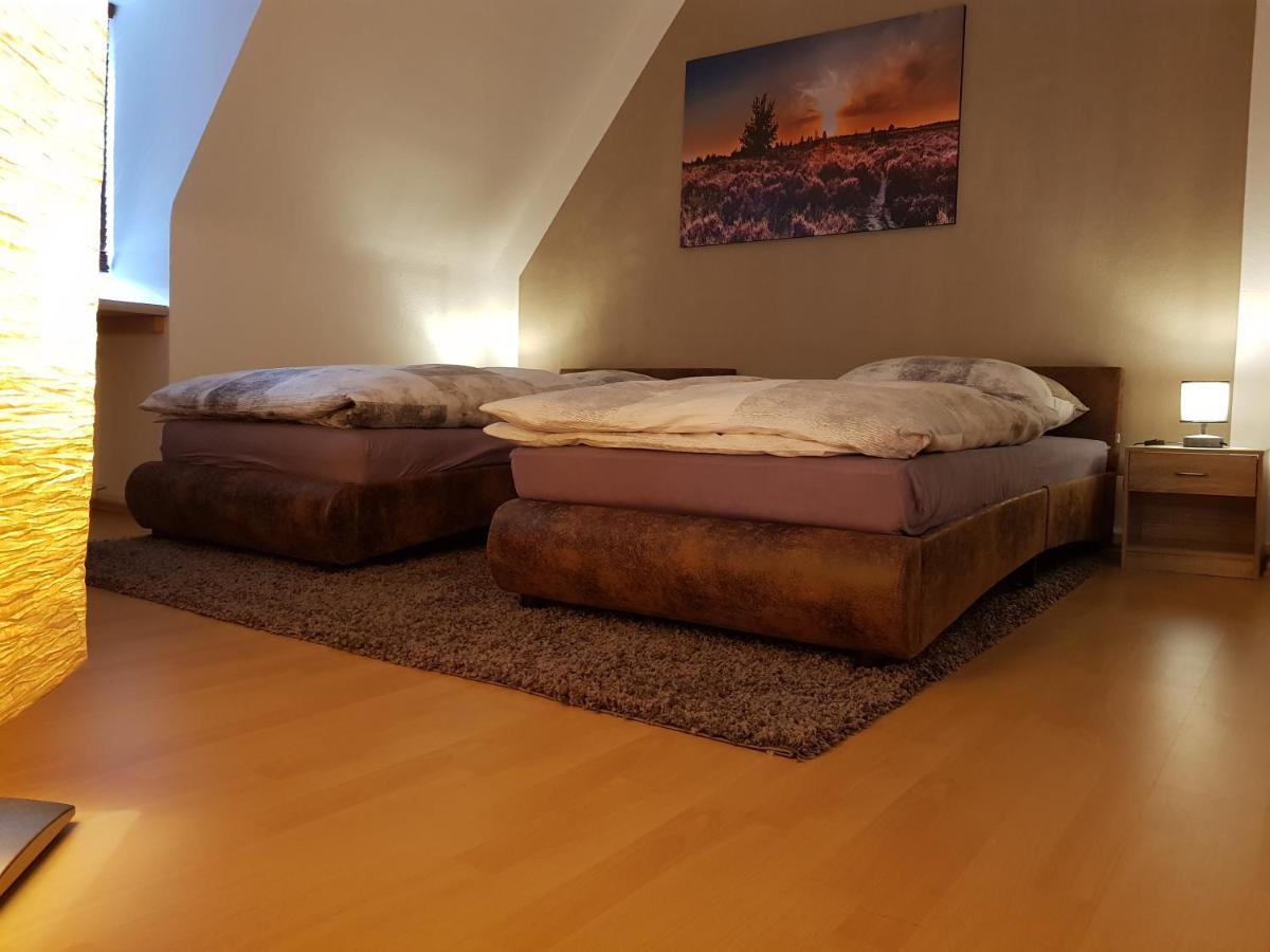Apartment Am Suedpark Erfurt - Inkl Garten Mit Sitzlounge - Zentrumsnah Exteriör bild