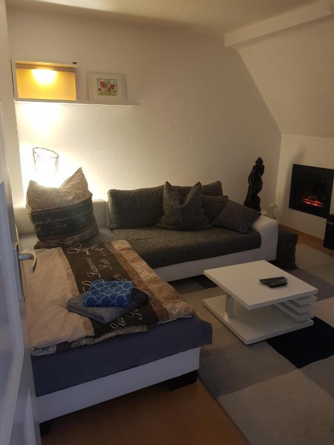 Apartment Am Suedpark Erfurt - Inkl Garten Mit Sitzlounge - Zentrumsnah Exteriör bild