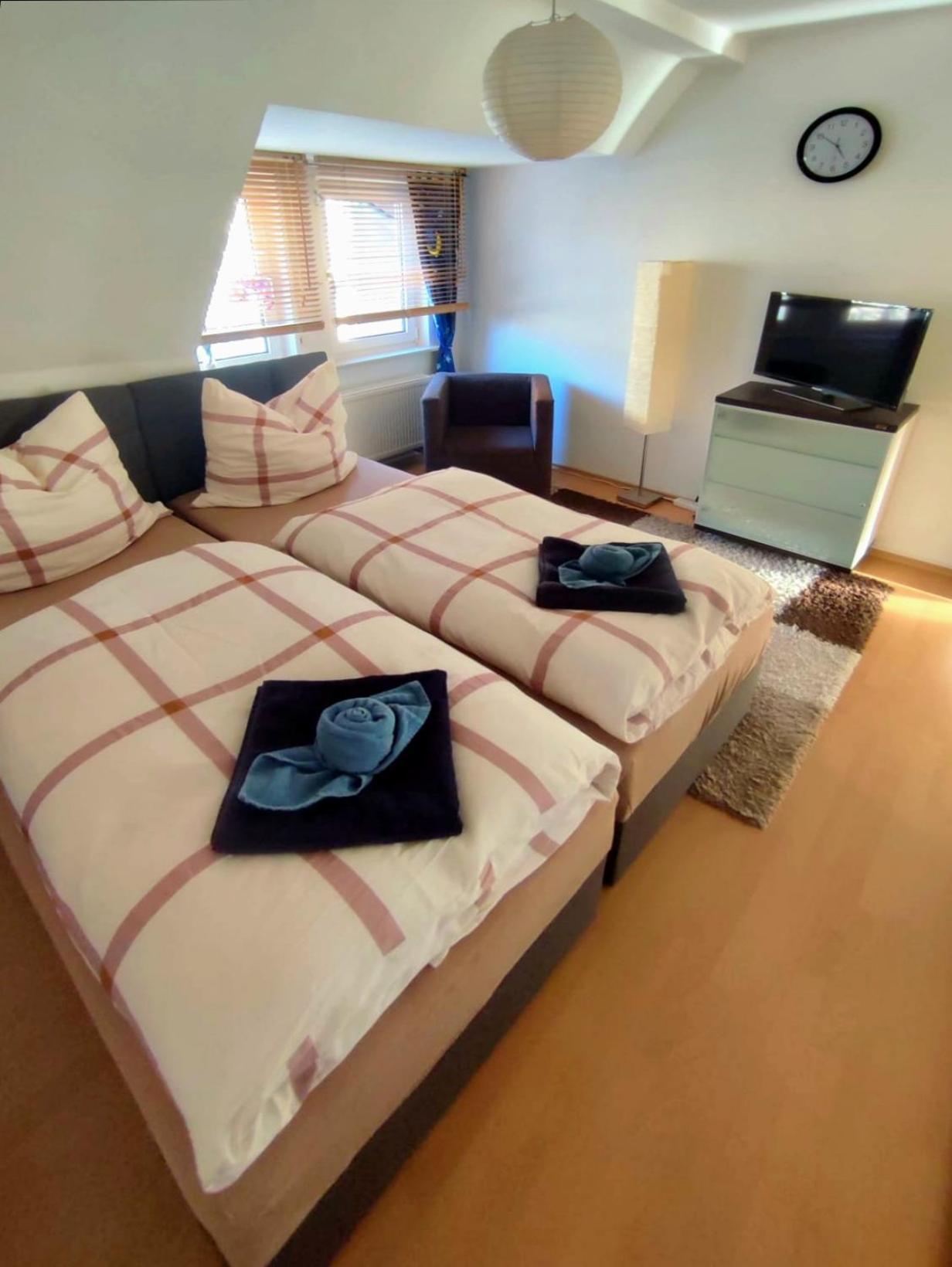 Apartment Am Suedpark Erfurt - Inkl Garten Mit Sitzlounge - Zentrumsnah Exteriör bild