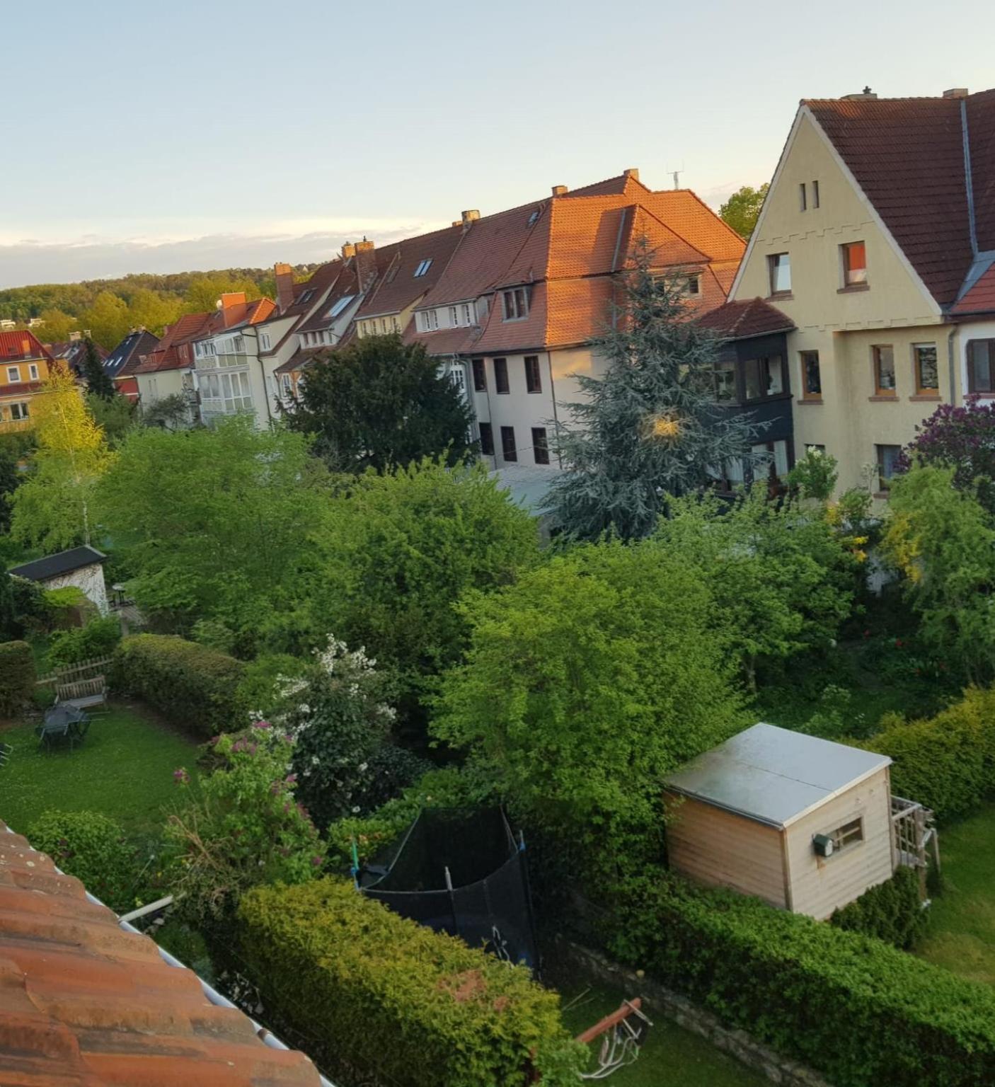 Apartment Am Suedpark Erfurt - Inkl Garten Mit Sitzlounge - Zentrumsnah Exteriör bild