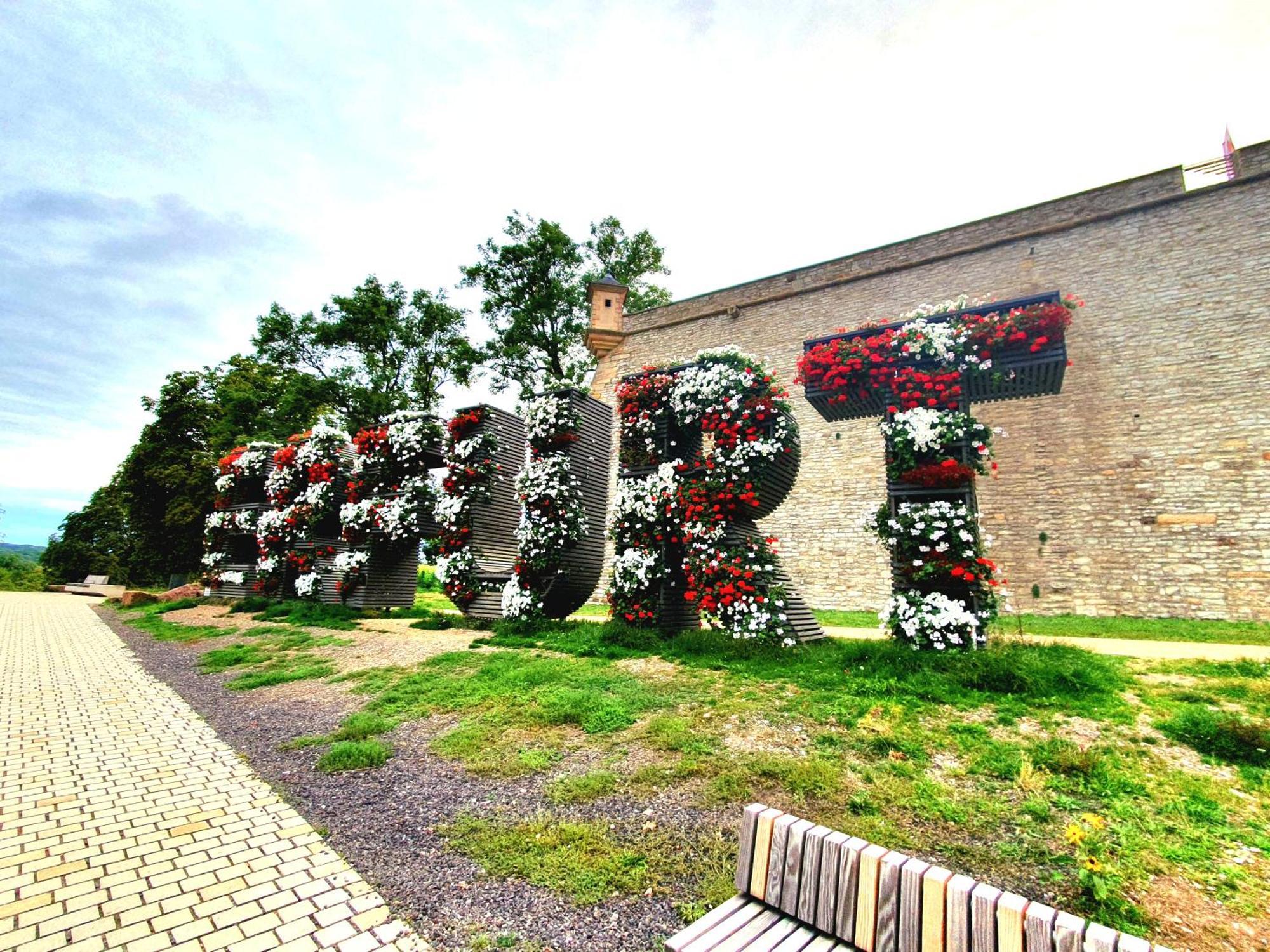 Apartment Am Suedpark Erfurt - Inkl Garten Mit Sitzlounge - Zentrumsnah Exteriör bild